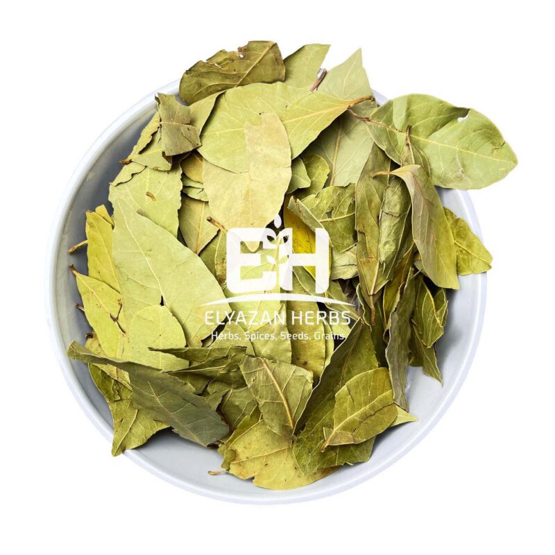BAY LEAVES