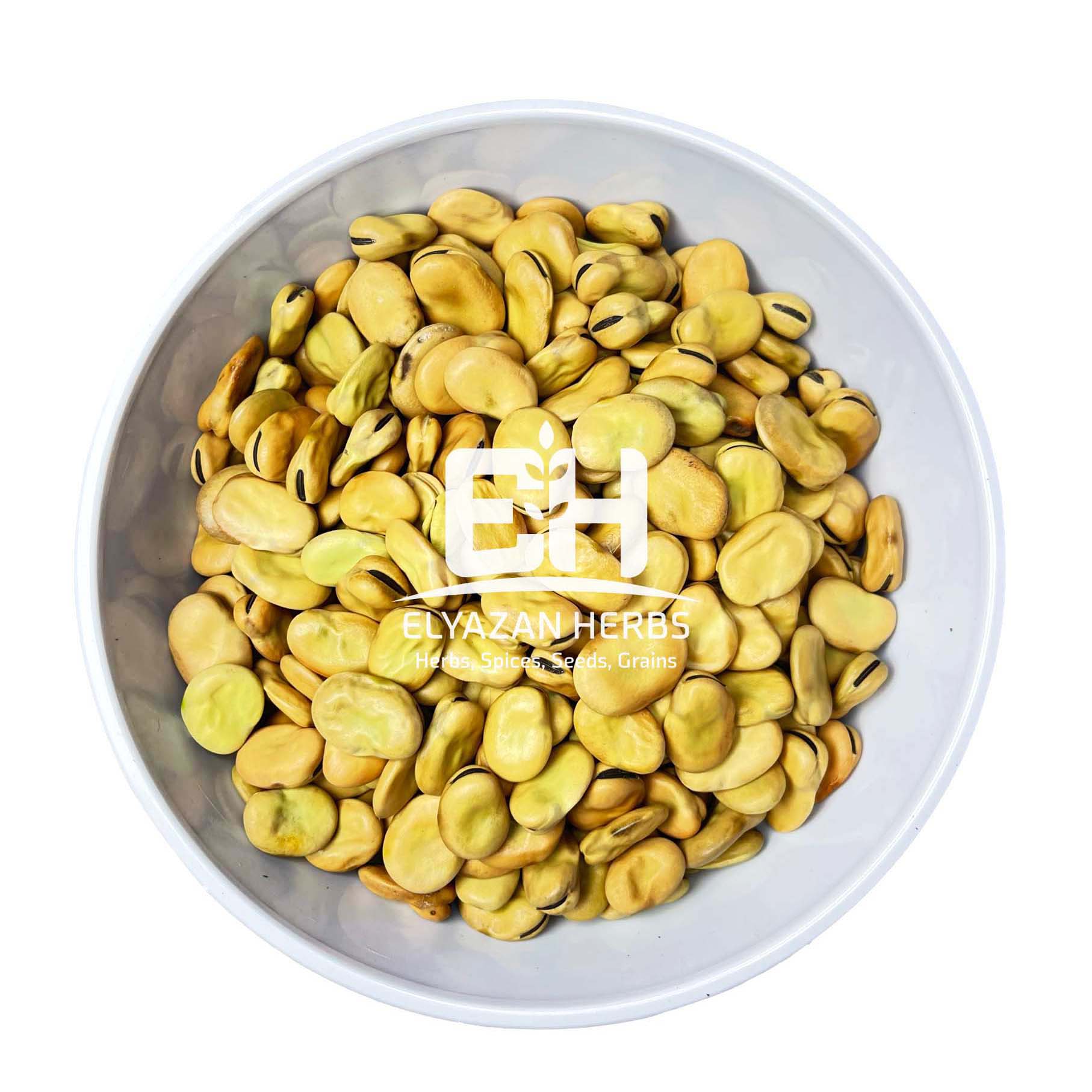 BROAD BEANS