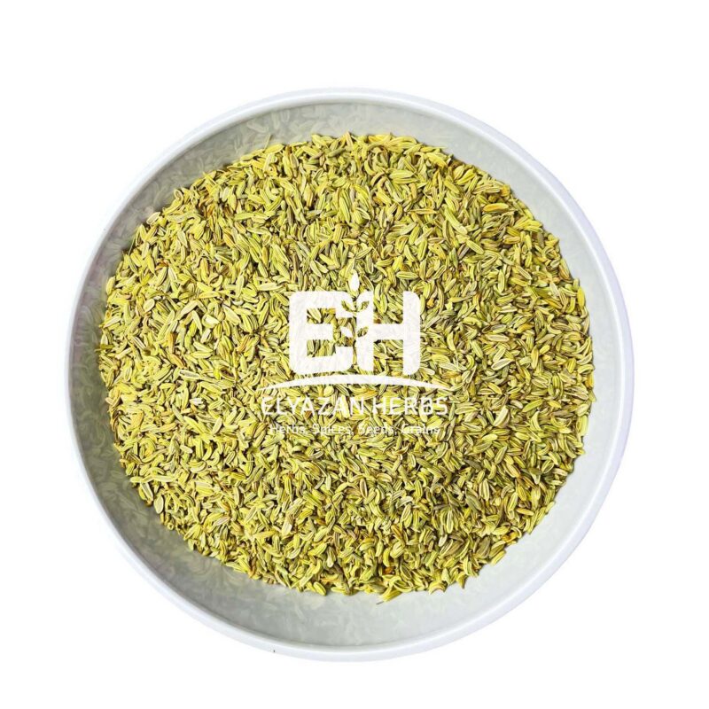 FENNEL