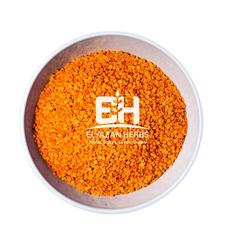 LENTILS