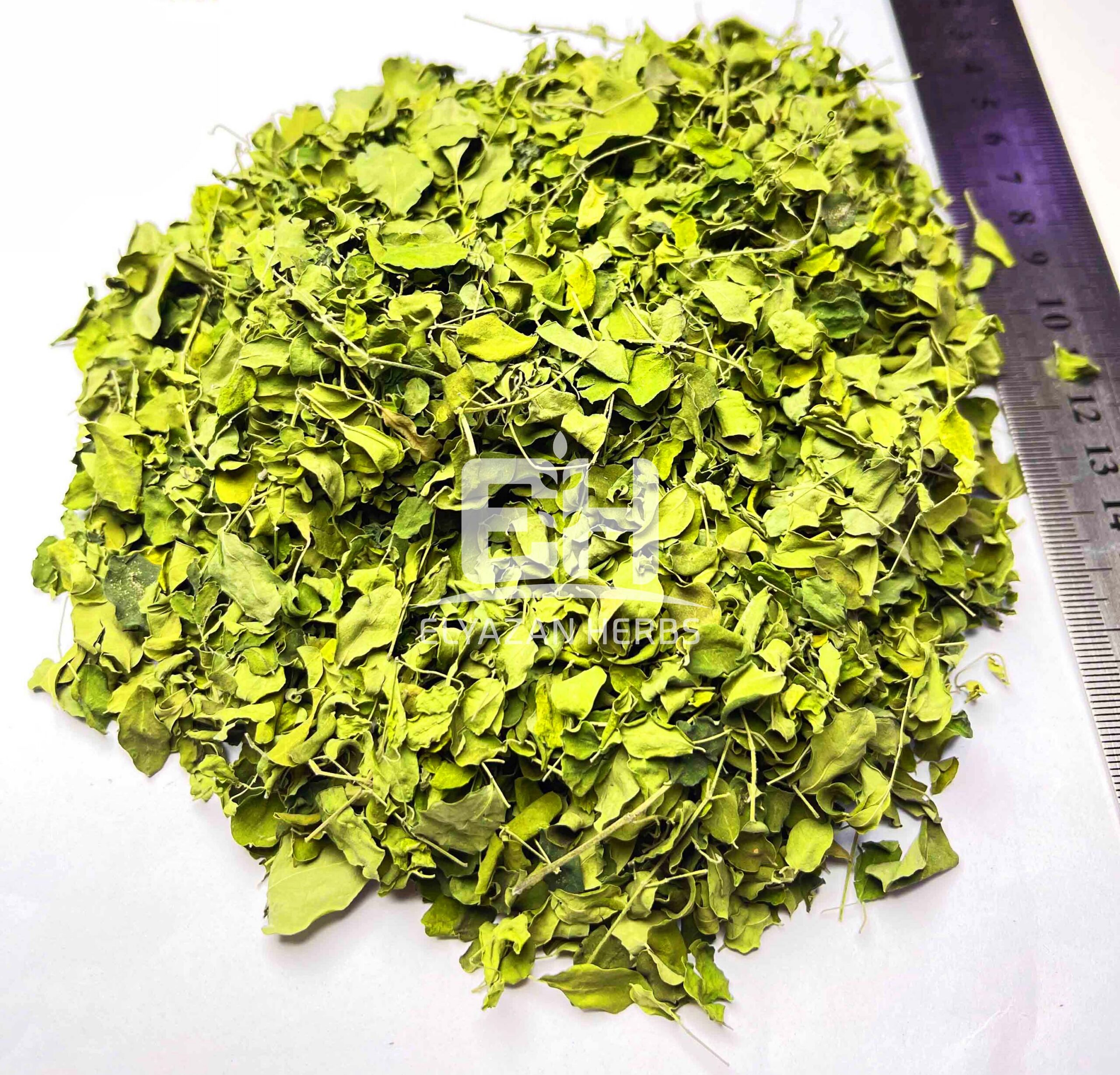 MORINGA - Image 2