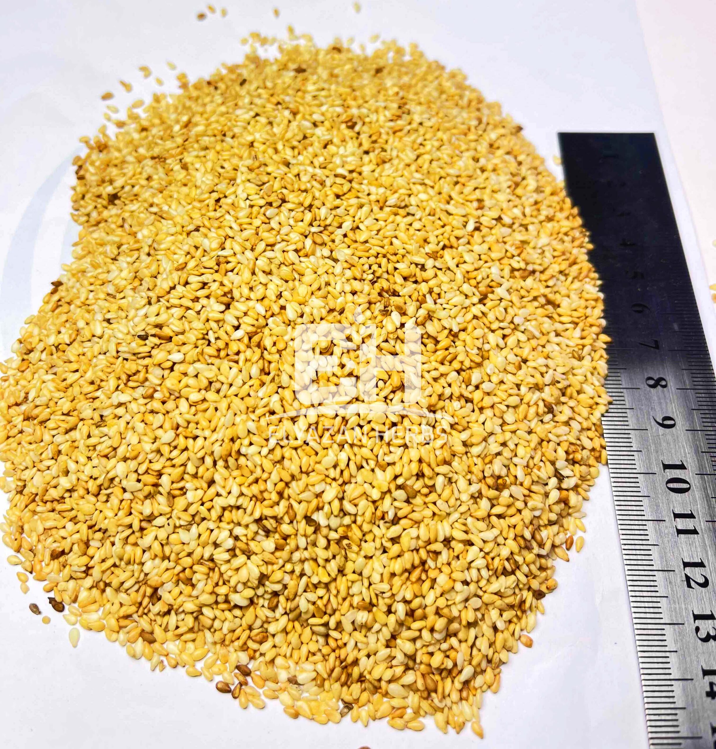 SESAME SEEDS - Image 2